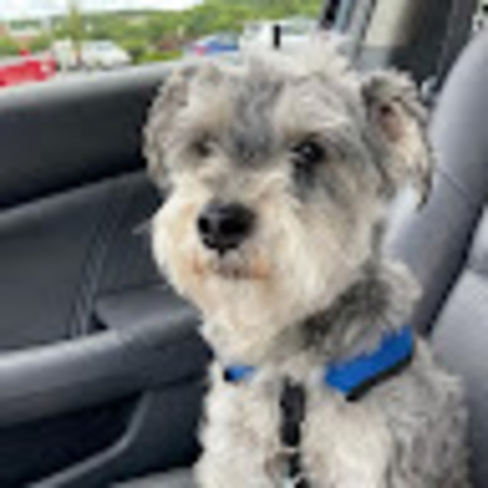 Meet your Posher, Kori